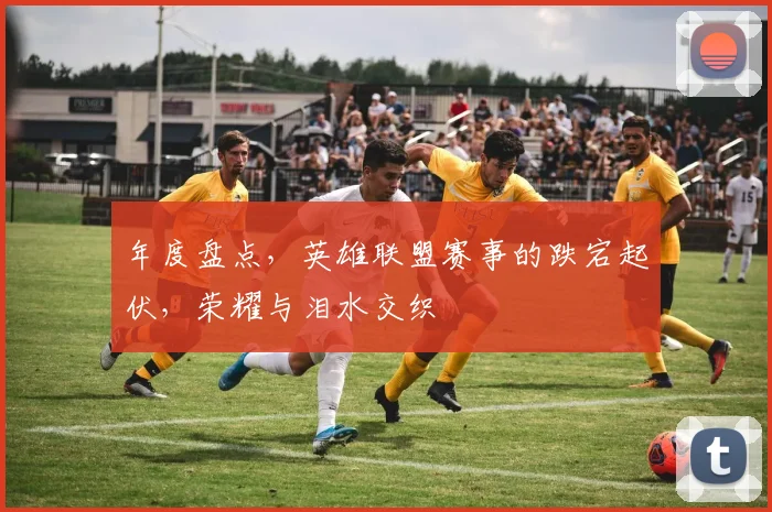 年度盘点，英雄联盟赛事的跌宕起伏，荣耀与泪水交织